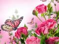 เกม Butterflies Puzzle
