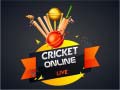 เกม Cricket Online