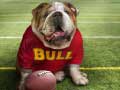 เกม Funny Doggy