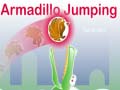 เกม Armadillo Jumping