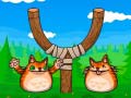 เกม Shot The Angry Cat