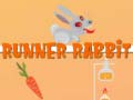 เกม Runner Rabbit