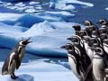 เกม Penguins Slide