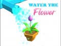 เกม Water The Flower