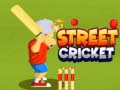 เกม Street Cricket