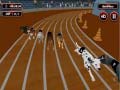 เกม Crazyl Dog Racing Fever
