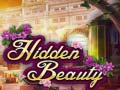 เกม Hidden Beauty