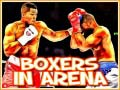 เกม Boxers in Arena