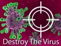 เกม Destroy The Virus