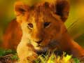 เกม Wild Baby Animals Jigsaw