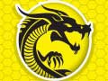 เกม Kung Fu Fury