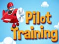 เกม Pilot Training