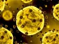 เกม Coronavirus Slide