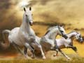 เกม Running Horse Slide