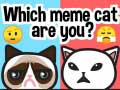 เกม Which Meme Cat Are You?