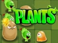 เกม Plants