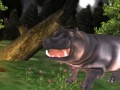 เกม Wild Hippopotamus Hunting