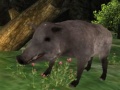 เกม Wild boar Hunting