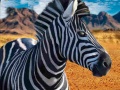 เกม Zebra Hunter
