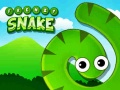 เกม Frenzy Snake