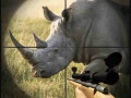 เกม Wild Rhino Hunter