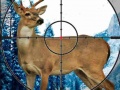 เกม Sniper Stag Hunter
