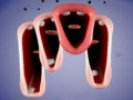 เกม Crazy Lips