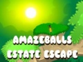 เกม Amazeballs Estate Escape