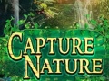 เกม Capture Nature