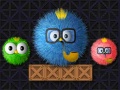 เกม Where Is My Ruffled Bird
