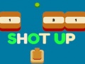 เกม Shot Up