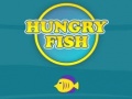 เกม Hungry Fish