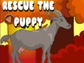 เกม Rescue The Puppy