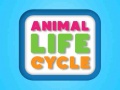 เกม Animal Life Cycle