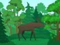 เกม Wild Animals Coloring