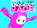 เกม Ultimate Knockout Race