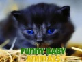 เกม Funny Baby Animals