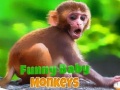 เกม Funny Baby Monkey