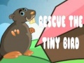 เกม Rescue The Tiny Bird