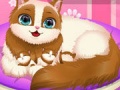 เกม Cute Kitty Pregnant