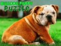 เกม Bulldog Puppy Puzzle