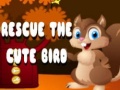 เกม Rescue The Cute Bird
