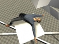 เกม Ragdoll Test