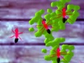 เกม Smash Ants