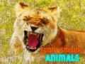 เกม Funny Smiling Animals