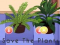 เกม Save the Plants