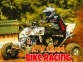 เกม ATV Quad Bike Racing