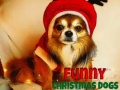 เกม Funny Christmas Dogs