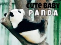 เกม Cute Baby Panda