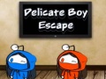 เกม Delicate Boy Escape